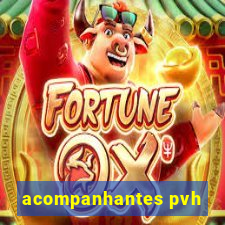 acompanhantes pvh